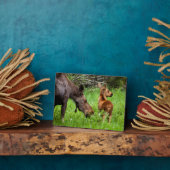 トゥーアラートムースマザーアンドベビー フォトプラーク (側面)