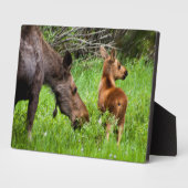 トゥーアラートムースマザーアンドベビー フォトプラーク (側面)