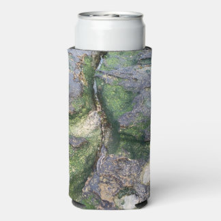 トゥーウーンベイの翡翠色の苔むしたビーチロック スリム缶クーラー