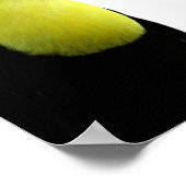 トゥーカンの動物異国の熱帯モダン写真 ポスター (角)