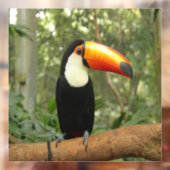 トゥーカンの木の枝 ウィンドウサイン (シート2)