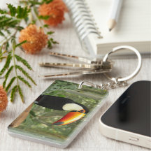 トゥーカンの木の枝