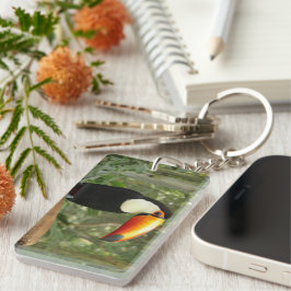 トゥーカンの木の枝 キーホルダー