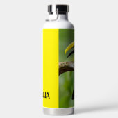 トゥーカンは森の枝に座っている ウォーターボトル (右面)