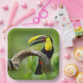 トゥーカンは森の枝に座っている ペーパープレート (パーティー)