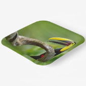 トゥーカンは森の枝に座っている ペーパープレート (傾斜あり)