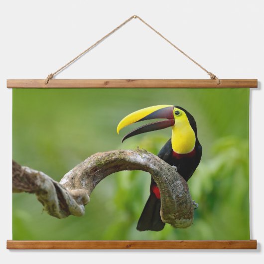 トゥーカンは森の枝に座っている 吊り下げ型タペストリー (正面)