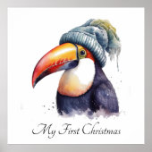 トゥーカンウィンタービベスカスタム ポスター (正面)