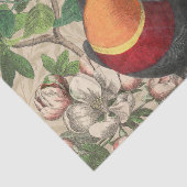 トゥーカンジャングルトロピカルバードビューティフルアンティーク 薄葉紙 (詳細)