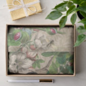 トゥーカンジャングルトロピカルバードビューティフルアンティーク 薄葉紙 (ギフト)