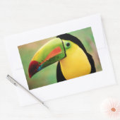 トゥーカンバードワイルド自然カラフル撮影 長方形シール (封筒)