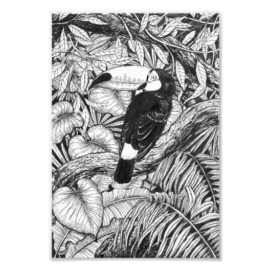 トゥーカン熱帯庭園 フォトプリント            (正面)