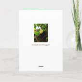 トゥーカン鳥グリーティングカード シーズンカード (裏面)