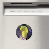 トゥーカン1磁石 マグネット (インサイチュ (食洗機))