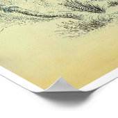 トゥーカン – ヴィンテージプリント ポスター (角)