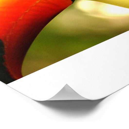 トゥーカ ポスター (角)