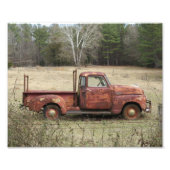 トゥーク フォトプリント            (正面)