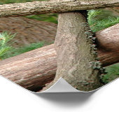 トゥーズ・カンパニー ポスター (角)