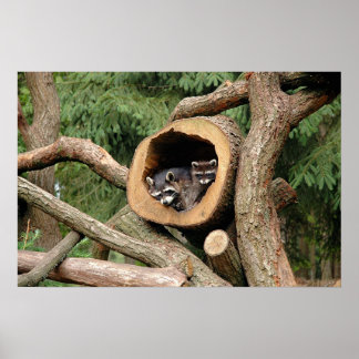 トゥーズ・カンパニー ポスター