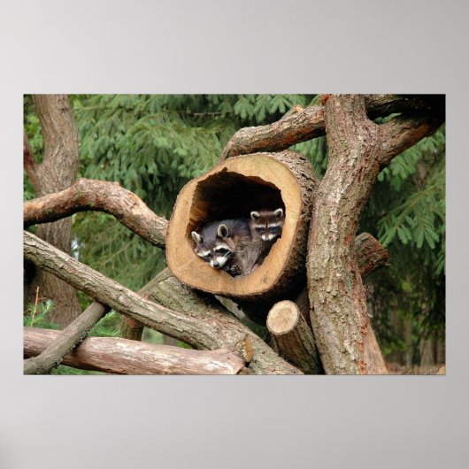 トゥーズ・カンパニー ポスター (正面)