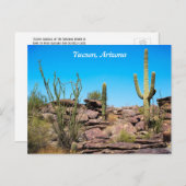トゥーソン・アリゾナ、砂漠の南西、カクティポストカード ポストカード (正面/裏面)