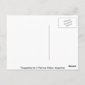 トゥータングエリトリトスタンゴ ポストカード (裏面)