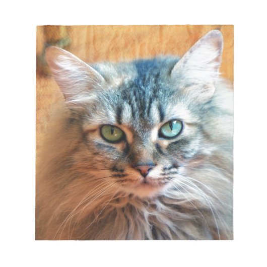 トゥートレ恋しく思ス ノートパッド (正面)