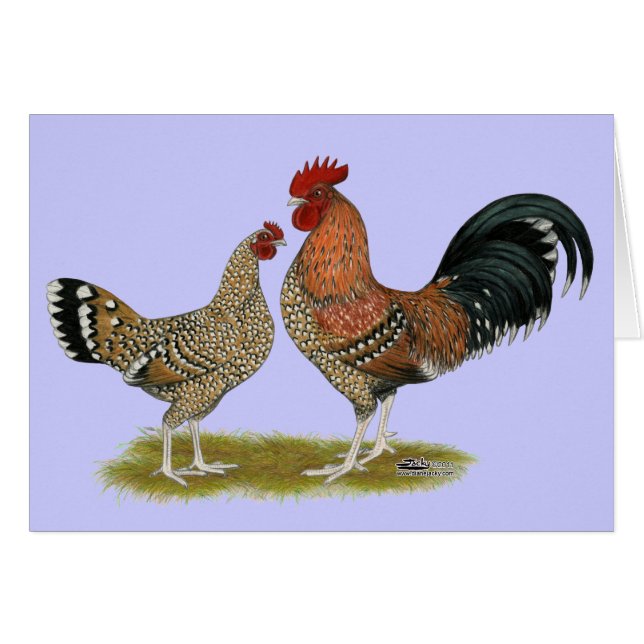 トゥーナシスBantams (正面横)