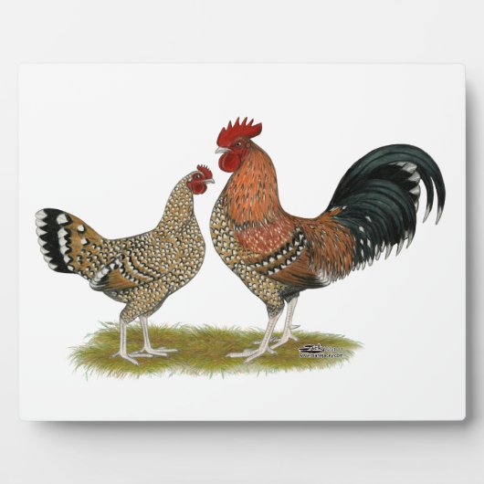 トゥーナシスBantams フォトプラーク (正面)