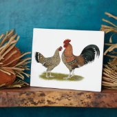 トゥーナシスBantams フォトプラーク (側面)