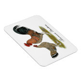 トゥーナシスBantams マグネット (右側)