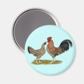 トゥーナシスBantams マグネット (正面/裏面)