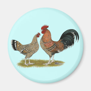 トゥーナシスBantams マグネット