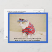 トゥーバクールバ子猫 ポストカード (正面/裏面)