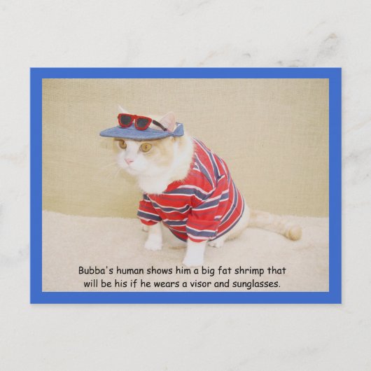 トゥーバクールバ子猫 ポストカード (正面)