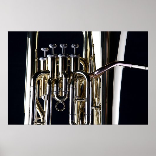 トゥーバ写真画像 ポスター (正面)