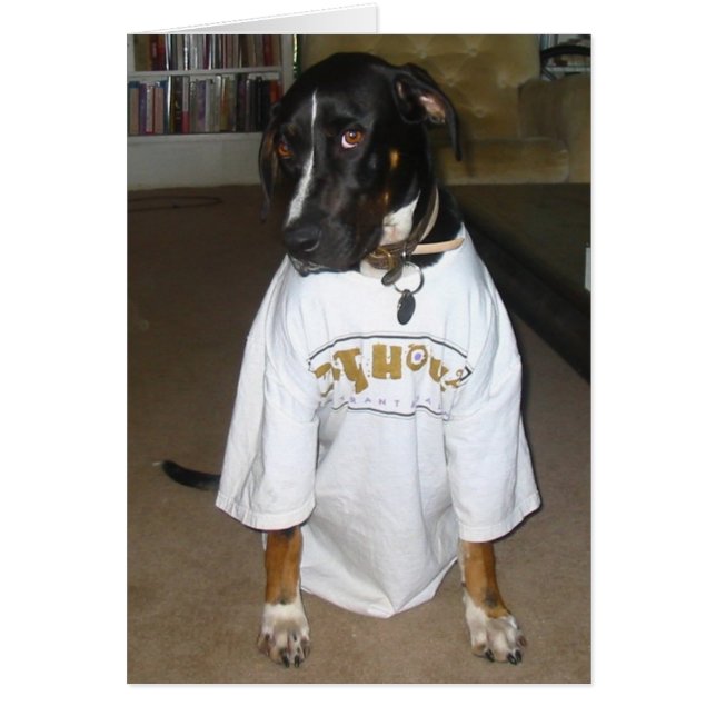 トゥーラ (正面)