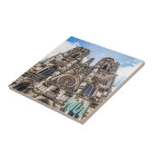 トゥールサンエティエンヌ大聖堂フランスギフト タイル (側面)