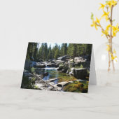 トゥールムネメドウズのトゥールムネ川、ヨセミテ、カリフォルニア州 カード (黄色い花)