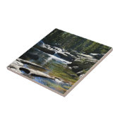 トゥールムネメドウズのトゥールムネ川、ヨセミテ、カリフォルニア州 タイル (側面)