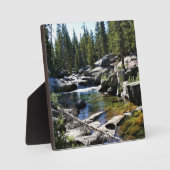 トゥールムネメドウズのトゥールムネ川、ヨセミテ、カリフォルニア州 フォトプラーク (正面)