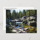 トゥールムネメドウズのトゥールムネ川、ヨセミテ、カリフォルニア州 ポストカード (正面/裏面)