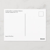 トゥールムネメドウズのトゥールムネ川、ヨセミテ、CA P ポストカード (裏面)