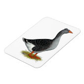 トゥールースグースタフテッド マグネット (左側)