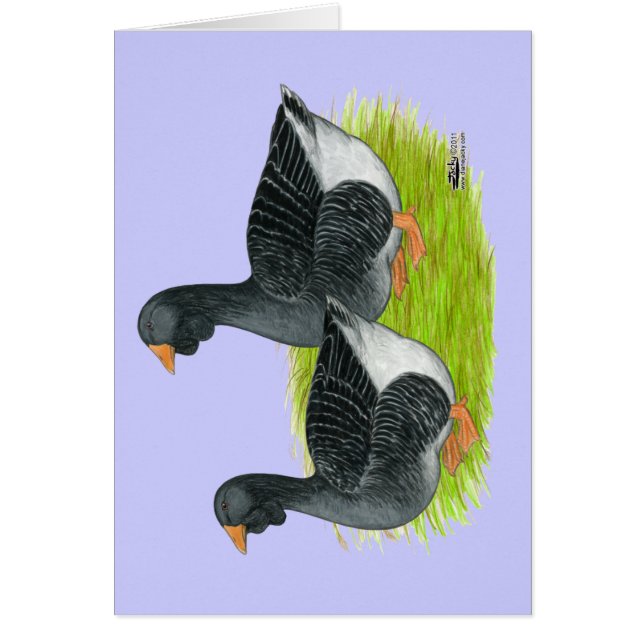 トゥールーズドウラップゲーゼ (正面)