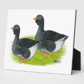 トゥールーズドウラップゲーゼ フォトプラーク (側面)