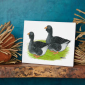 トゥールーズドウラップゲーゼ フォトプラーク (側面)