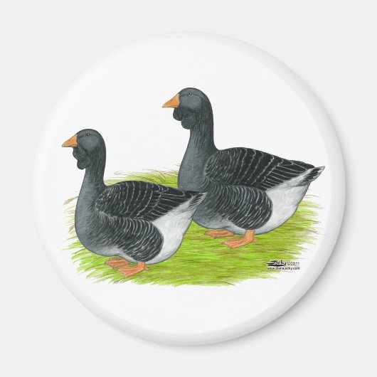 トゥールーズドウラップゲーゼ マグネット (正面)