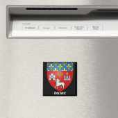 トゥールーズフランスのキッチンマグネット マグネット (インサイチュ (食洗機))