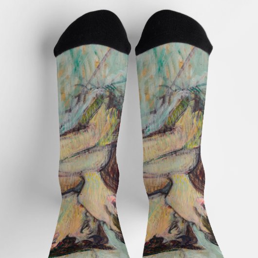 トゥールーズラウトレックインベッド,ザキス ソックス (上部)